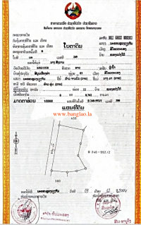 T00230